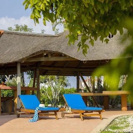 You Have Found The Perfect 5 Star 02 Villa *